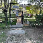 L\'Arlesienne